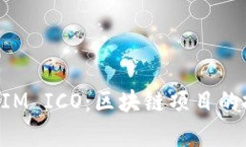 全面解析TokenIM ICO：区块链项目的投资机遇与挑战