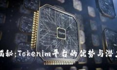深入揭秘：Tokenim平台的优
