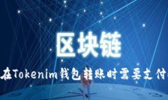 : 为什么在Tokenim钱包转账时需要支付ETH费用？