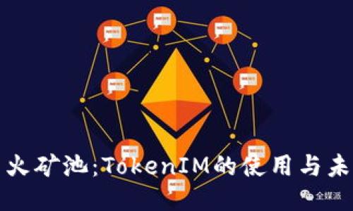 探索星火矿池：TokenIM的使用与未来潜力