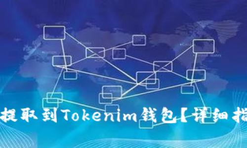 如何将钱包中的币提取到Tokenim钱包？详细指南与常见问题解答