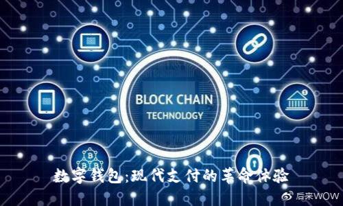 数字钱包：现代支付的革命体验