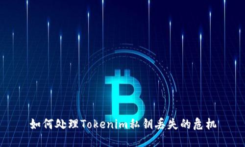 如何处理Tokenim私钥丢失的危机