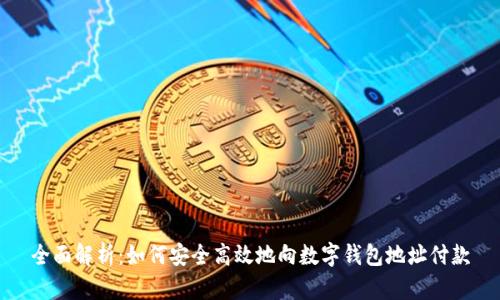 全面解析：如何安全高效地向数字钱包地址付款