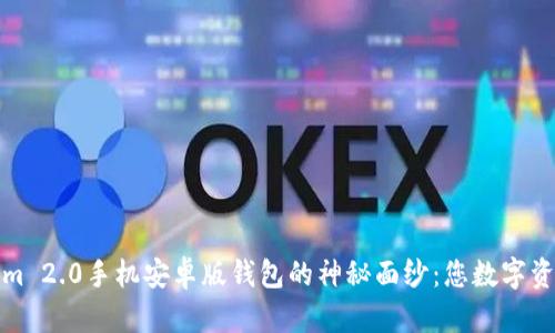 揭开Tokenim 2.0手机安卓版钱包的神秘面纱：您数字资产的守护神