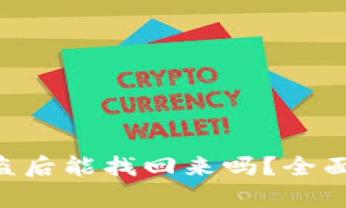 Tokenim钱包被盗后能找回来吗？全面解析与应对策略