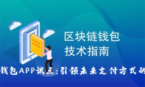 数字钱包APP试点：引领未来支付方式的变革