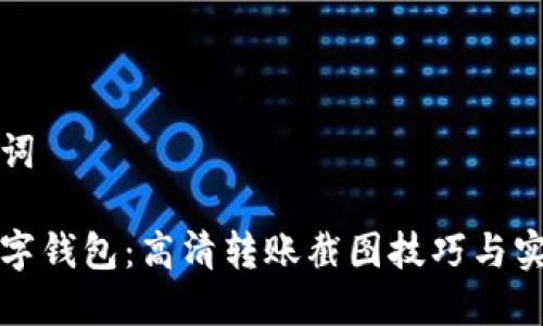 和关键词

掌握数字钱包：高清转账截图技巧与实用指南