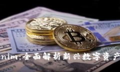 揭秘Tokenim：全面解析新兴