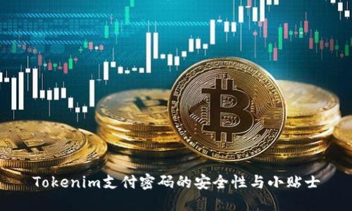 Tokenim支付密码的安全性与小贴士