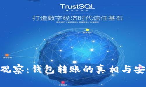 Tokenim观察：钱包转账的真相与安全性解析