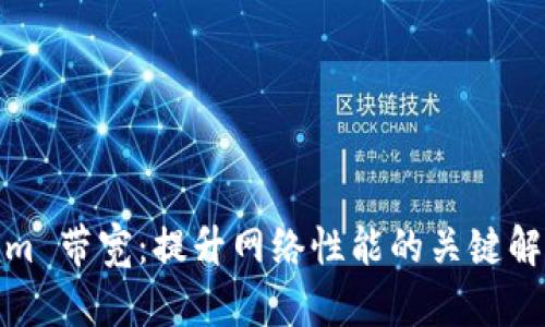 Tokenim 带宽：提升网络性能的关键解决方案