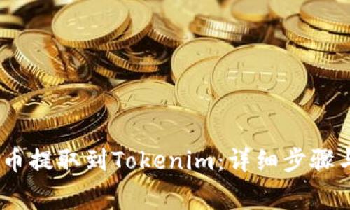 如何将Pig币提取到Tokenim：详细步骤与注意事项