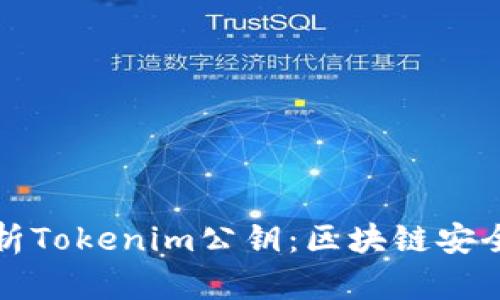 深入解析Tokenim公钥：区块链安全的基石