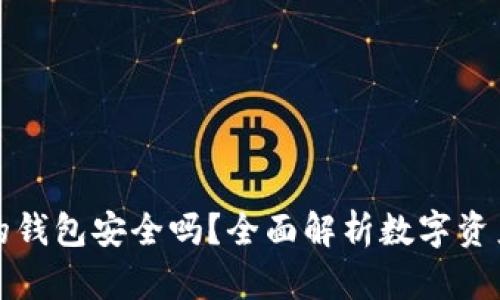 区块链里的钱包安全吗？全面解析数字资产的安全性