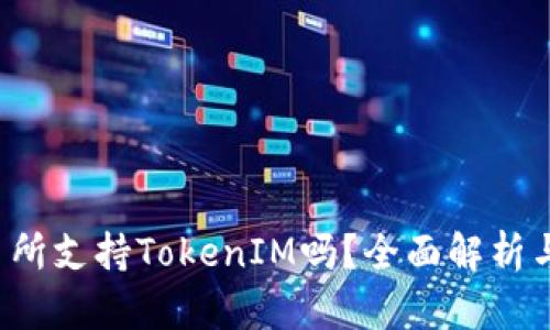  火币交易所支持TokenIM吗？全面解析与用户指南