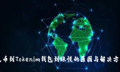 充币到Tokenim钱包到账慢的原因与解决方案