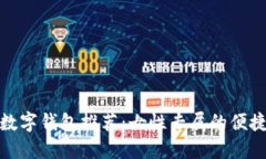 时尚数字钱包推荐：女性