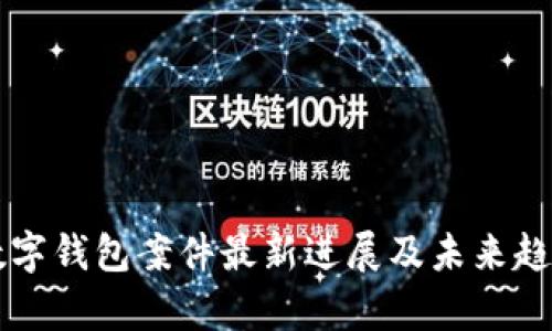 南安数字钱包案件最新进展及未来趋势分析