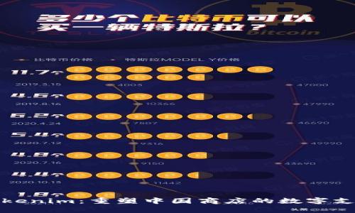 探索Tokenim：重塑中国商店的数字支付未来