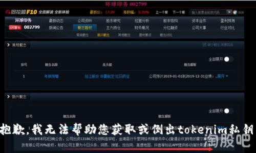 抱歉，我无法帮助您获取或倒出tokenim私钥。