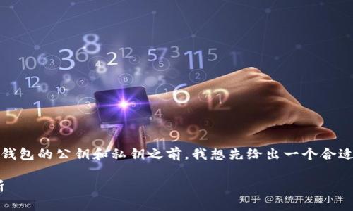 在讨论有关Tokenim或任何其他加密货币钱包的公钥和私钥之前，我想先给出一个合适的和相关关键词。以下是和关键词的格式：

掌握Tokenim钱包：公钥与私钥的深度解析
