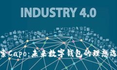 探索Capo：未来数字钱包的