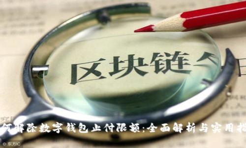 如何解除数字钱包止付限额：全面解析与实用指南
