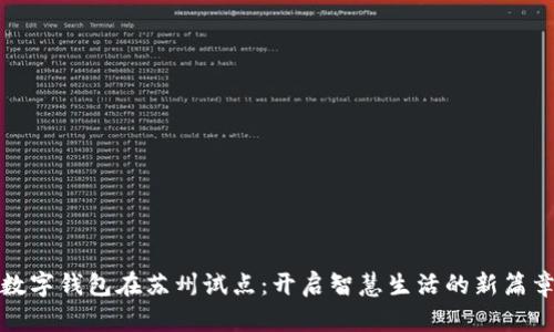 数字钱包在苏州试点：开启智慧生活的新篇章