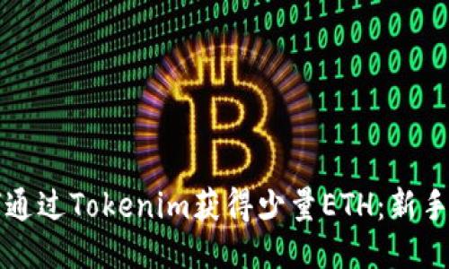如何通过Tokenim获得少量ETH：新手指南