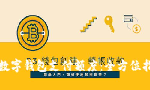 如何成功调高数字钱包支付额度：全方位指导与实用技巧