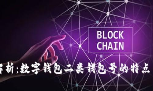 全面解析：数字钱包二类钱包号的特点与应用