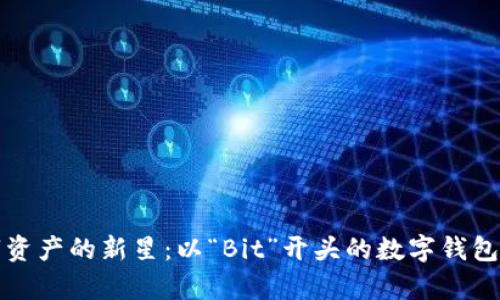 揭秘数字资产的新星：以“Bit”开头的数字钱包全面解析