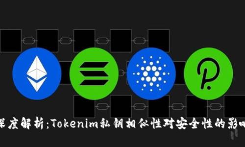 深度解析：Tokenim私钥相似性对安全性的影响