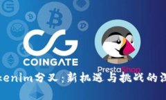 探索Tokenim分叉：新机遇与