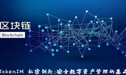 
TokenIM 私密钥匙：安全数字资产管理的基石