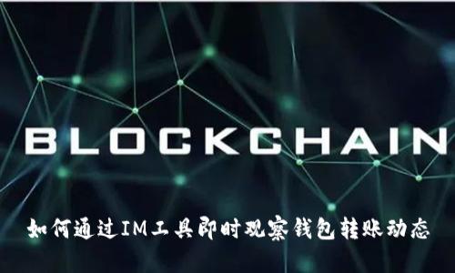 如何通过IM工具即时观察钱包转账动态