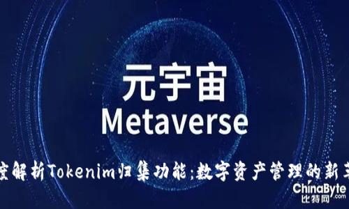 深度解析Tokenim归集功能：数字资产管理的新革命
