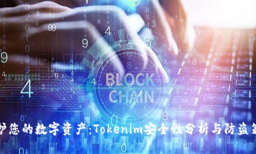 保护您的数字资产：Tokenim安全性分析与防盗策略
