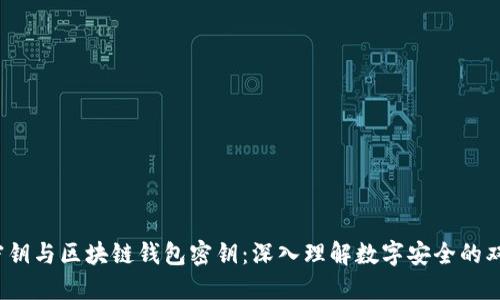  谷歌密钥与区块链钱包密钥：深入理解数字安全的双重保障