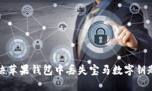 如何解决苹果钱包中丢失宝马数字钥匙的问题