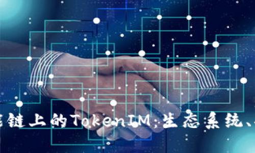 深入探讨币安智能链上的TokenIM：生态系统、功能与未来可能性